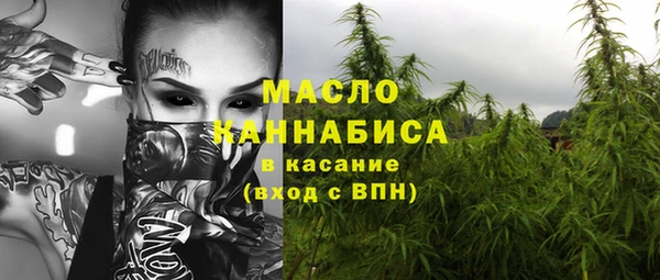 мдпв Богданович
