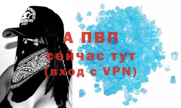 сатива Богородск